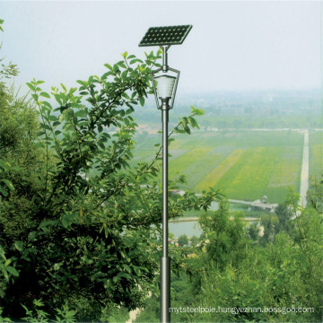 12V Solar LED Garden Lamp with 2 Years Warranty